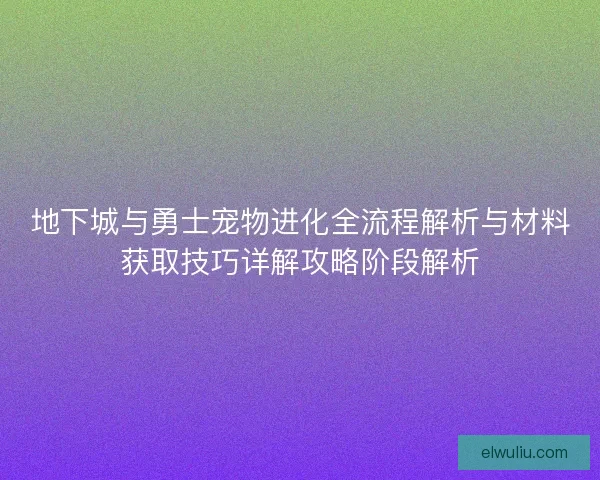 地下城与勇士宠物进化全流程解析与材料获取技巧详解攻略阶段解析