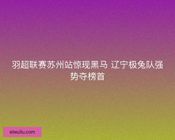 羽超联赛苏州站惊现黑马 辽宁极兔队强势夺榜首